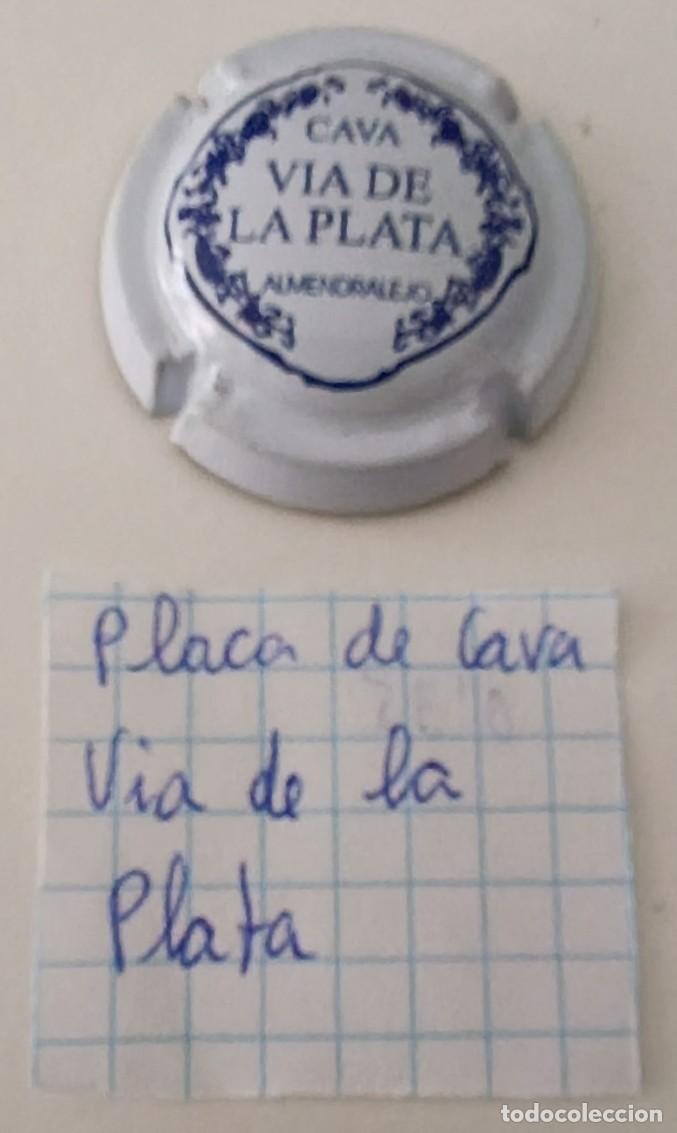 Coleccionismo de cava: Chapa o placa. Cava Via de la Plata. Almendralejo. - Foto 6