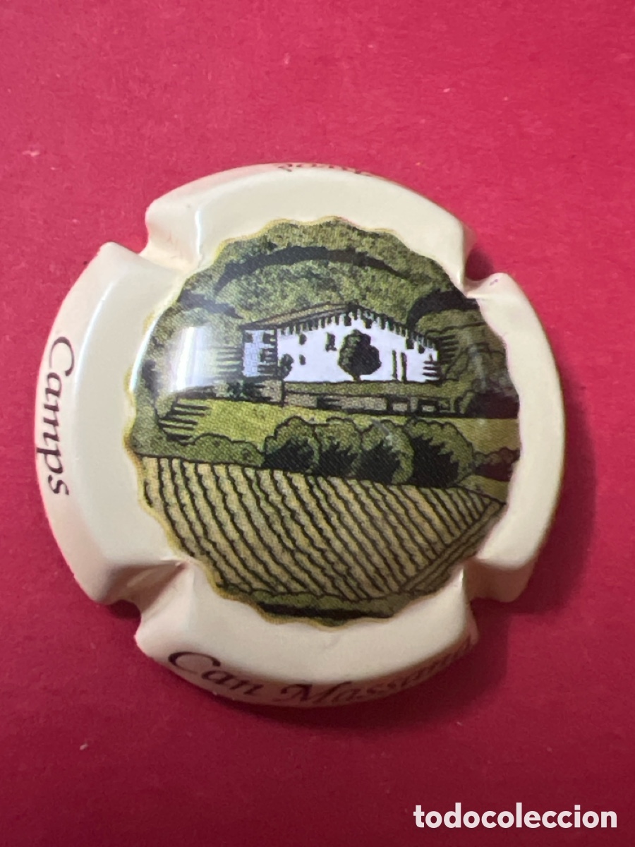 Coleccionismo de cava: T4/X41/G3. Pirulas Grup RBA Col&middot;lecci&oacute; 2005-2006 PGR5010372