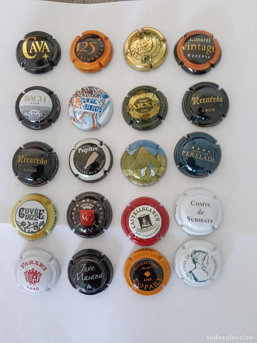Coleccionismo de cava: PLACAS DE CAVA DE COLECCION -20 - Foto 1