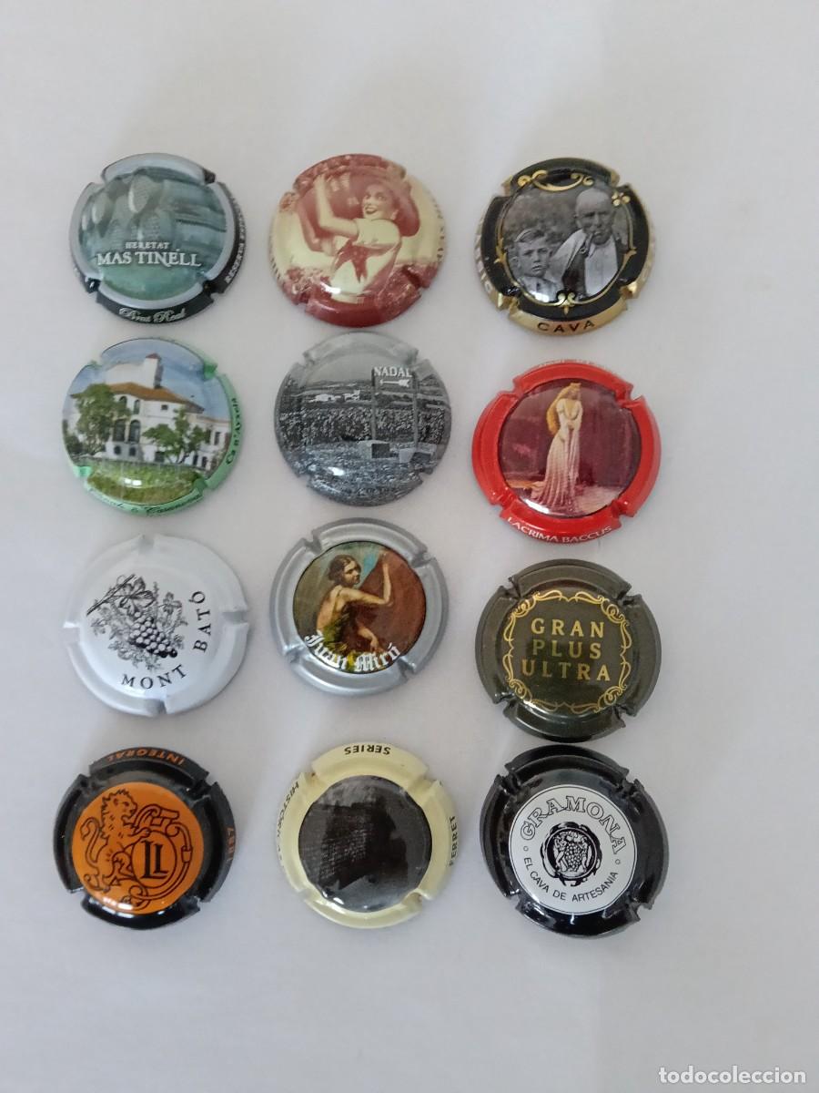 Coleccionismo de cava: PLACAS DE CAVA DE COLECCION- 12