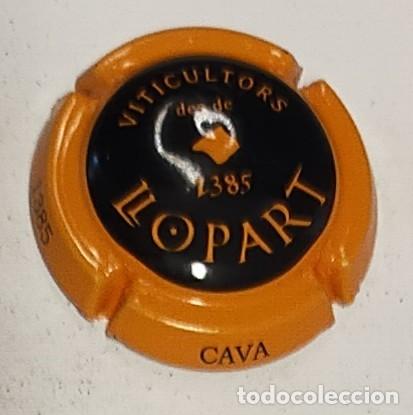 Collectionnisme de cava: PLACA DE CAVA LLOPART VITICULTORES MAPA NARANJA