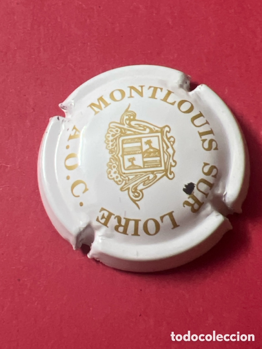 Coleccionismo de cava: T4/X43/O4. USADA - PLACA DE CHAMPAGNE - MONTLOUIS SUR LOIRE