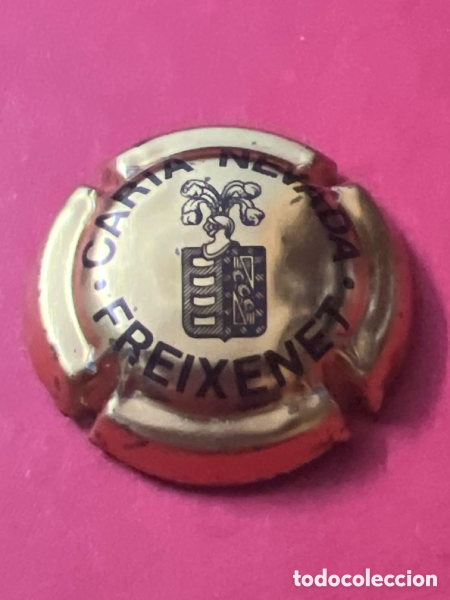 Coleccionismo de cava: T4/X48/B5. USADA - PLACA DE CAVA - FREIXENET - CARTA NEVADA