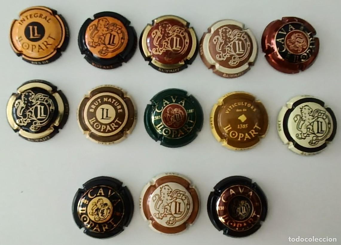 Coleccionismo de cava: 13 Chapas o placas de cava. Cava Llopart. Todas diferentes.