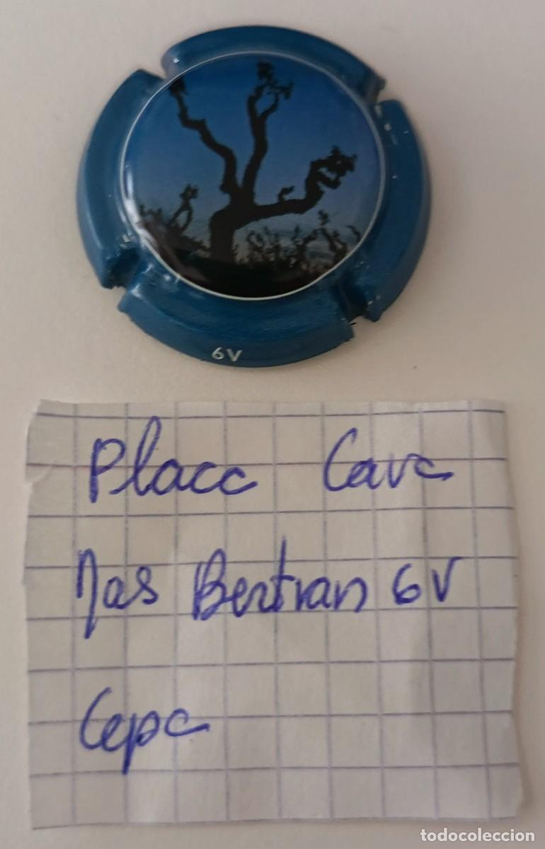 Coleccionismo de cava: Chapa o placa de cava. Cava Mas Bertran. - Foto 2