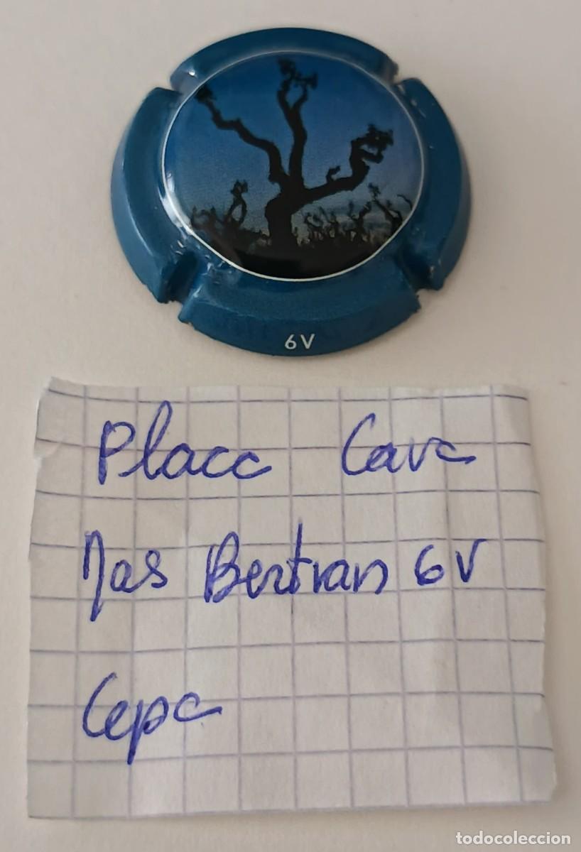 Coleccionismo de cava: Chapa o placa de cava. Cava Mas Bertran. - Foto 8