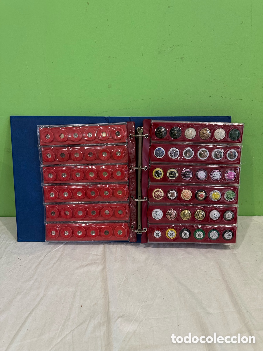 Collectionnisme de cava: Gran lote colecci&oacute;n placas de cava y champagne &Aacute;lbum cientos de piezas
