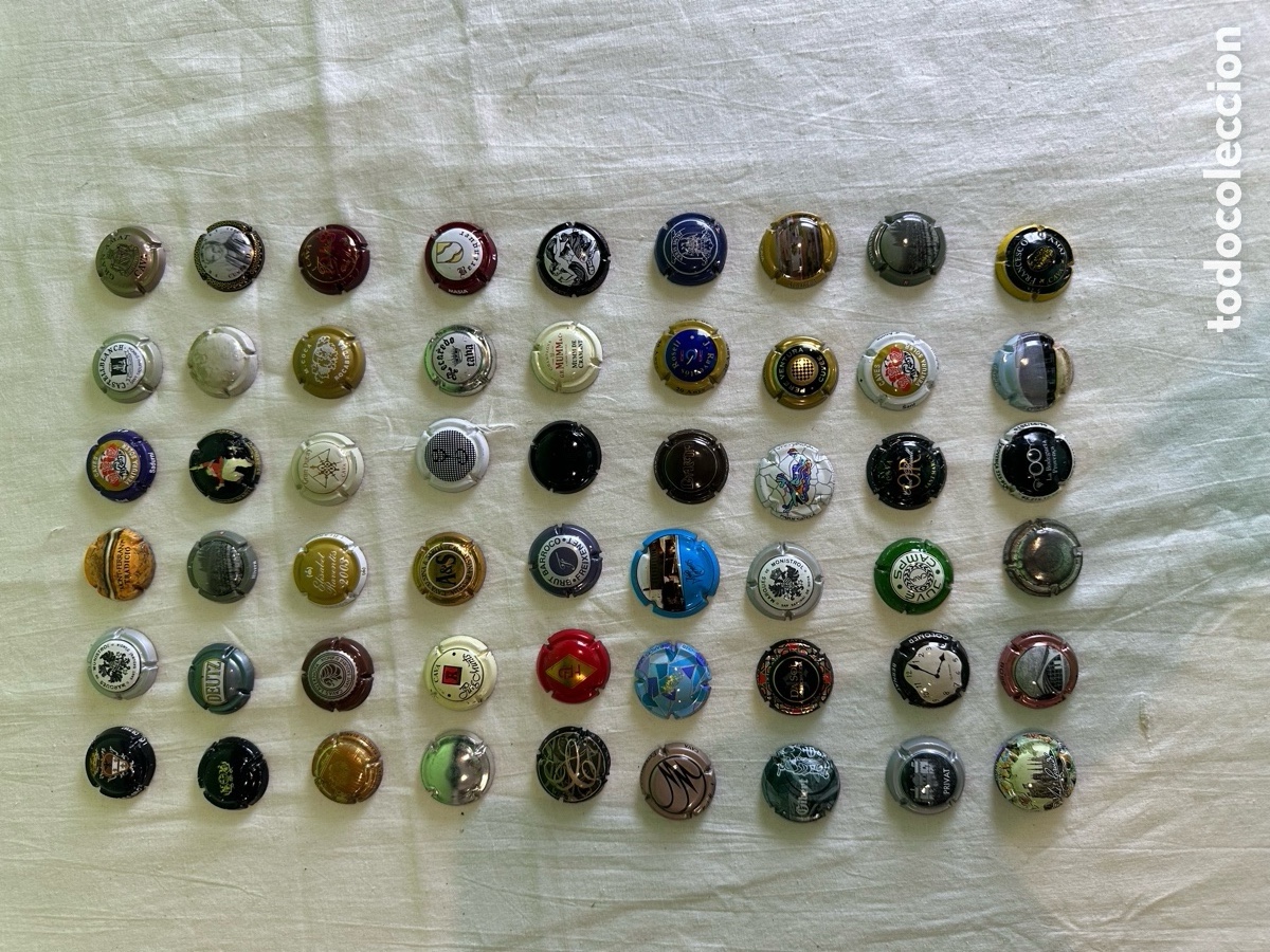 Collectionnisme de cava: Lote colecci&oacute;n 54 placas de cava y champagne variadas para coleccionistas