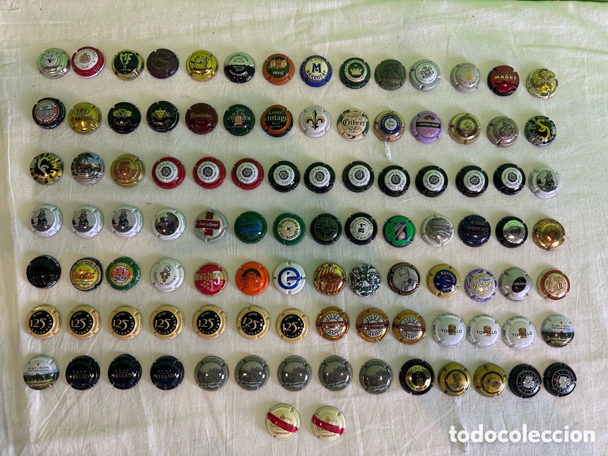 Collectionnisme de cava: lote colecci&oacute;n 100 placas de cava y champagne variadas para coleccionistas