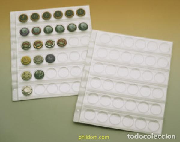 Coleccionismo de cava: Hoja Cava plastico FILOBER 6X6 sin refuerzo