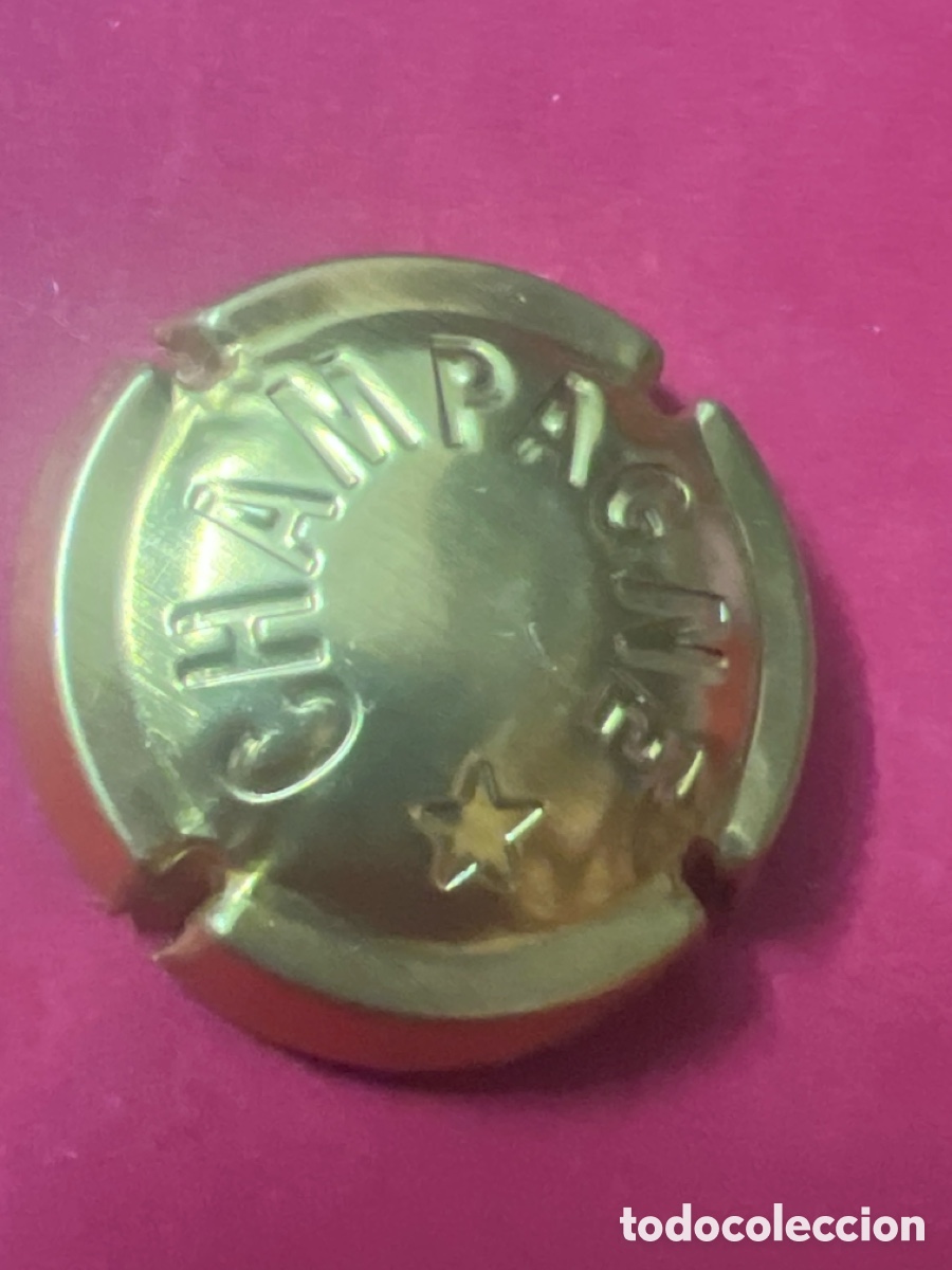 Coleccionismo de cava: T4/X78/F4. PLACA DE CHAMPAGNE .