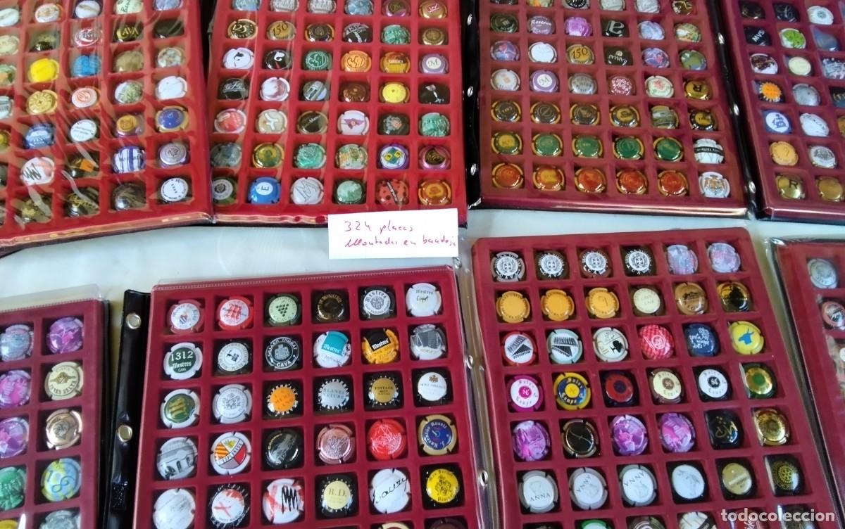 Coleccionismo de cava: LOTE DE 324 PLACAS DE CAVA MONTADAS EN SUS BANDEJAS , LIQUIDACION CIERRE TIENDA