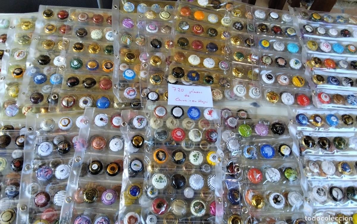 Coleccionismo de cava: LOTE DE 720 PLACAS DE CAVA MONTADAS EN SUS PAGINAS , A 10 CTS UNIDAD , CIERRE DE TIENDA