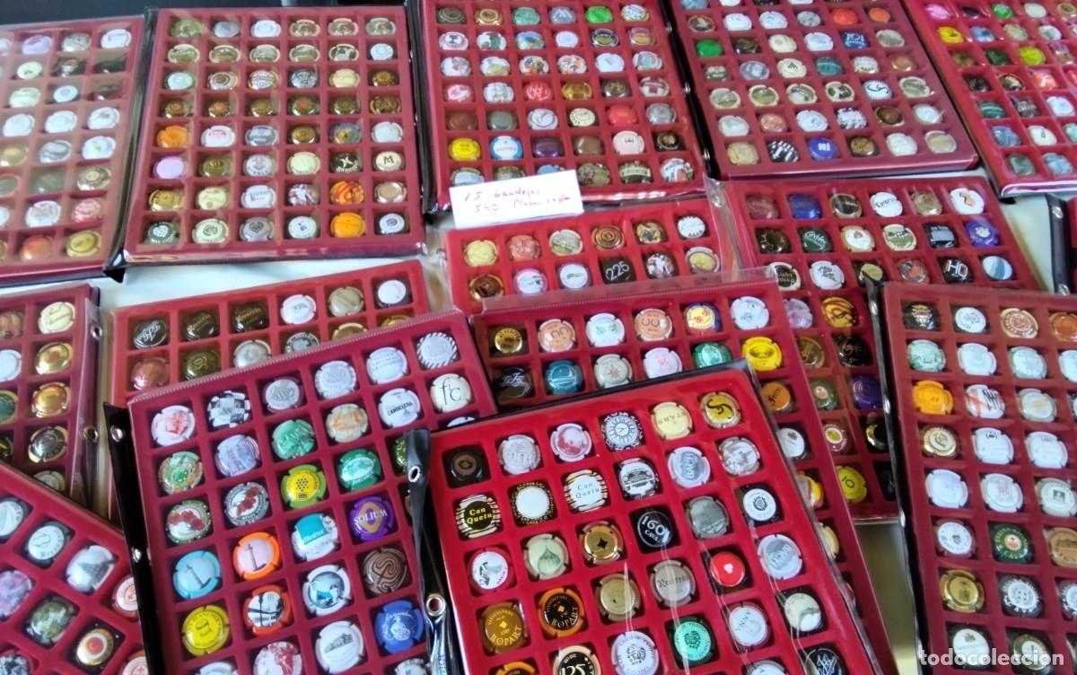 Coleccionismo de cava: LOTE DE 540 PLACAS DE CAVA MONTADAS EN 15 BANDEJAS , LIQUIDACION 10 CTS, ALTO VALOR VER COMPOSICION