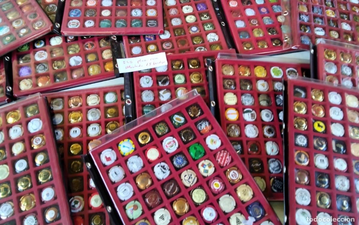 Coleccionismo de cava: 540 PLACAS DE CAVA MONTADAS EN SUS BANDEJAS , ALTO VALOR , VER DESCRIPCION Y FOTOS