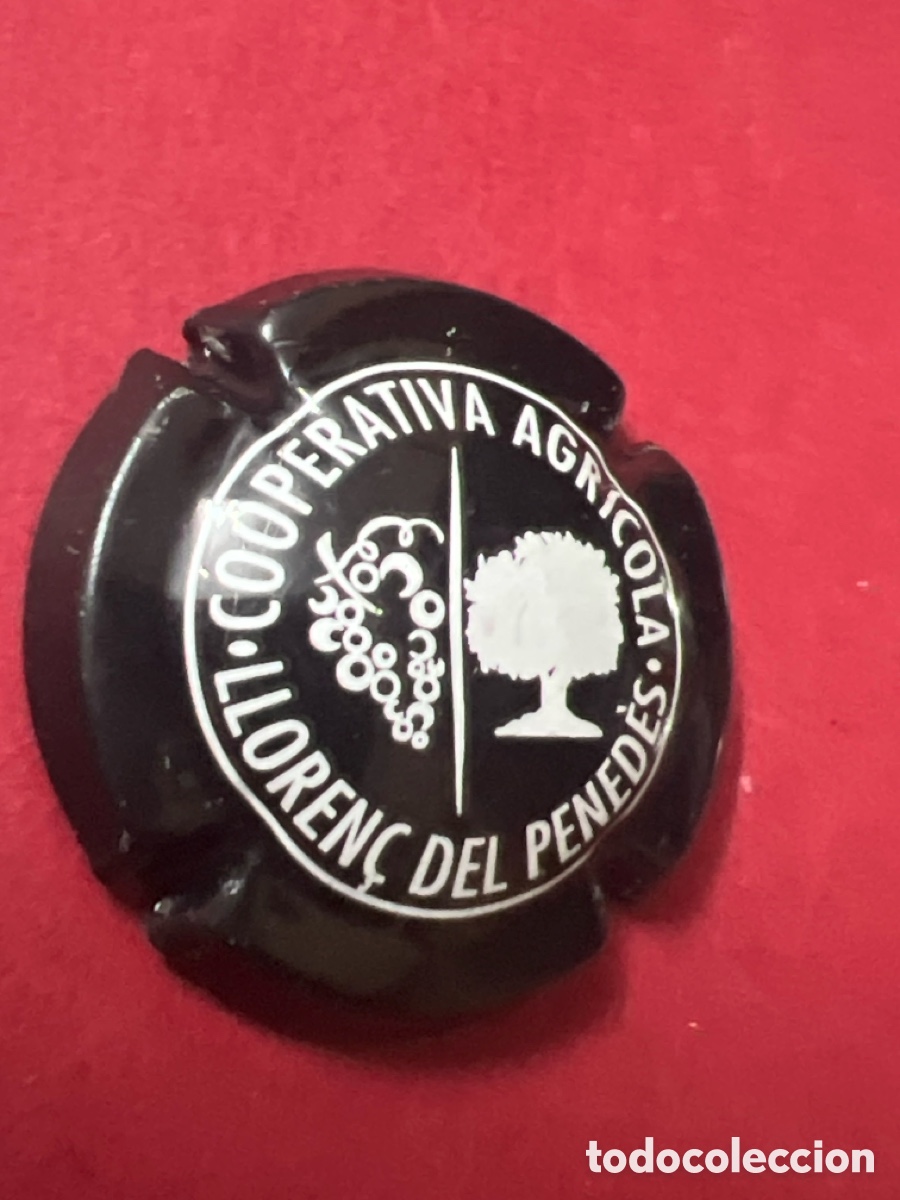 Coleccionismo de cava: T4/X75/H4. Cavas Coop. Lloren&ccedil; del Pened&egrave;s C&oacute;digo: ECLP000735