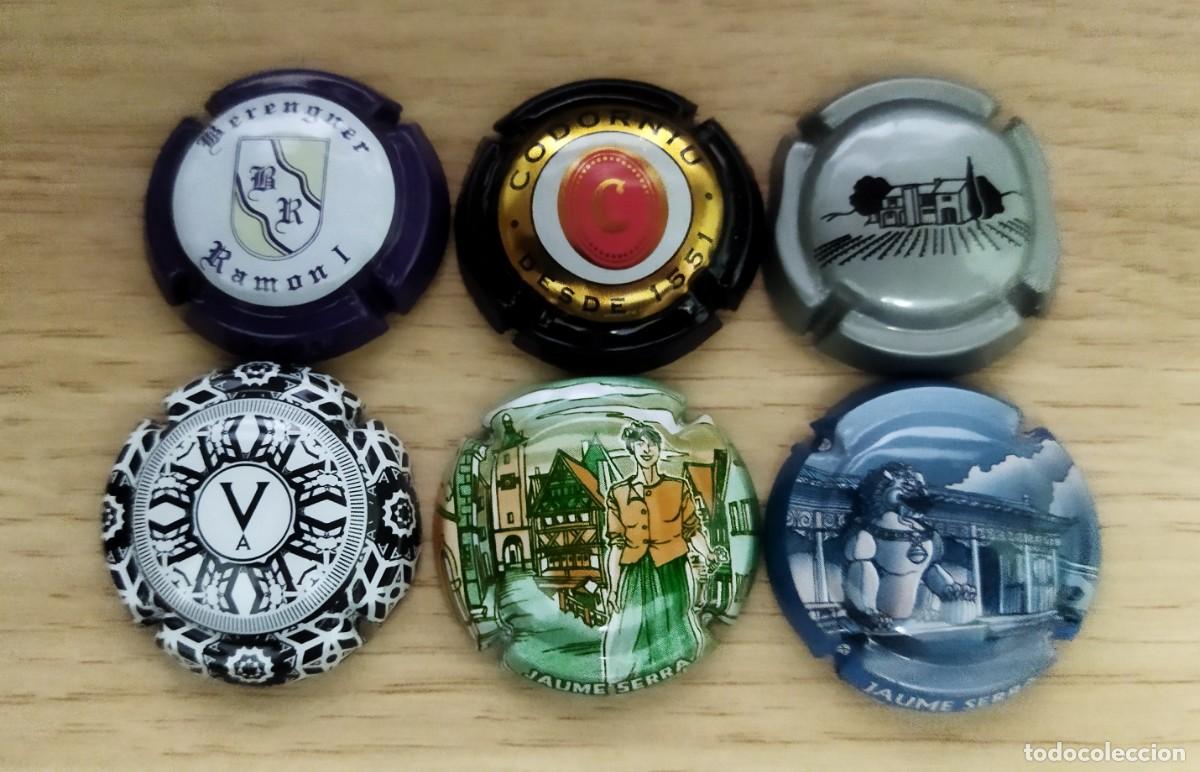 Coleccionismo de cava: LOTE DE PLACAS CAVA (2)