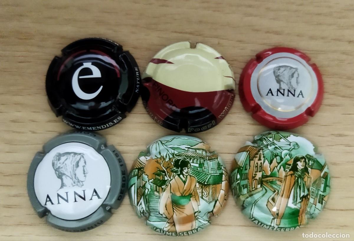 Coleccionismo de cava: LOTE DE PLACAS CAVA (5)