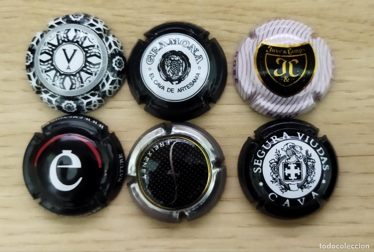 Coleccionismo de cava: LOTE DE PLACAS CAVA (11)