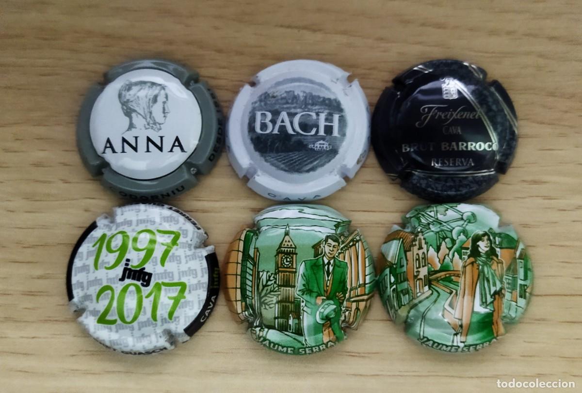 Coleccionismo de cava: LOTE DE PLACAS CAVA (12)