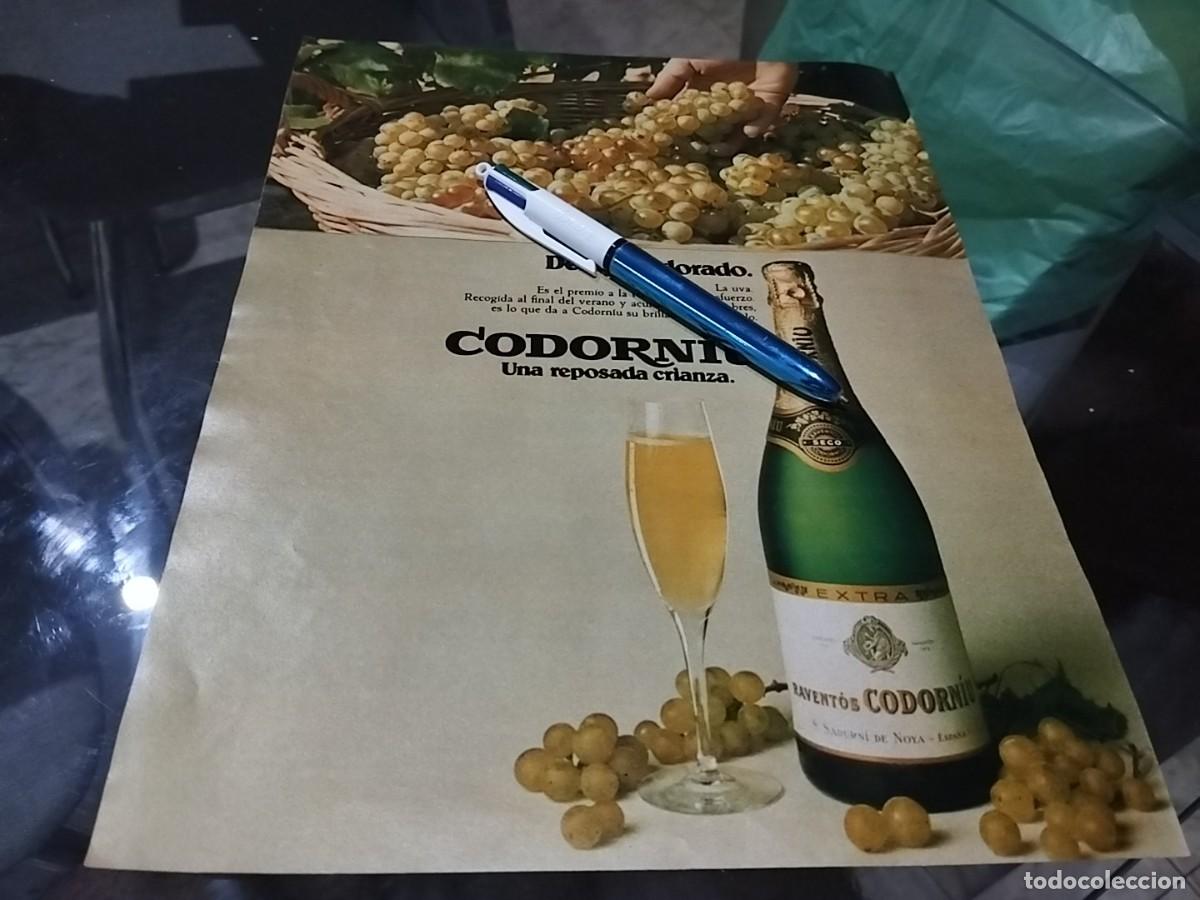 Coleccionismo de cava: CODORNIU REVENTOS CAVA CHAMPAGNE ANUNCIO PUBLICIDAD REVISTA 1975 BONITO PARA ENMARCAR
