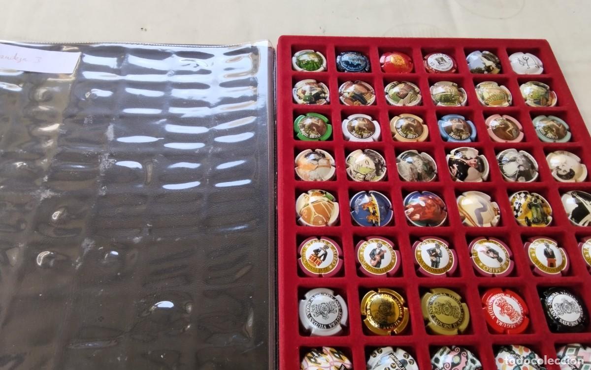 Coleccionismo de cava: BANDEJA N&ordm; 3 CON 48 PLACAS DE CAVA , TODO FOTOGRAFIADO , VER COMPOSICION