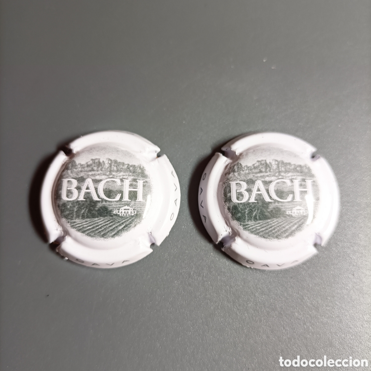 Coleccionismo de cava: LOTE 2 PLACAS CAVA. BACH