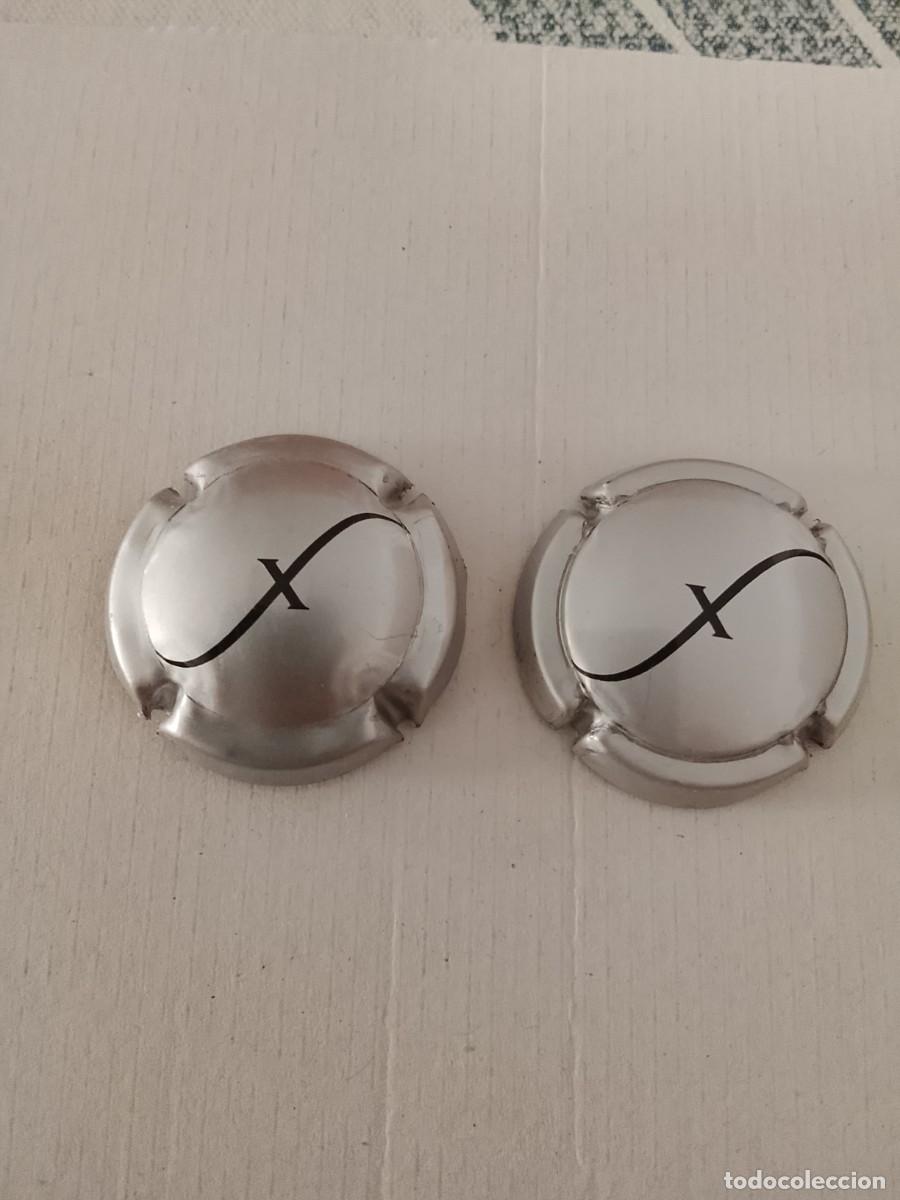Coleccionismo de cava: Placas de cava Freixenet