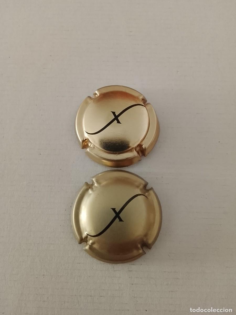 Coleccionismo de cava: 2 placas cava freixenet