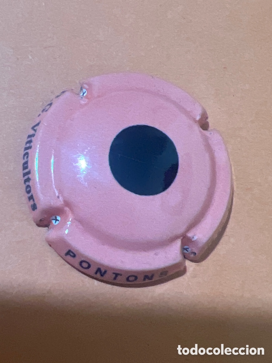 Coleccionismo de cava: T4/X92/A4. PLACA DE CAVA