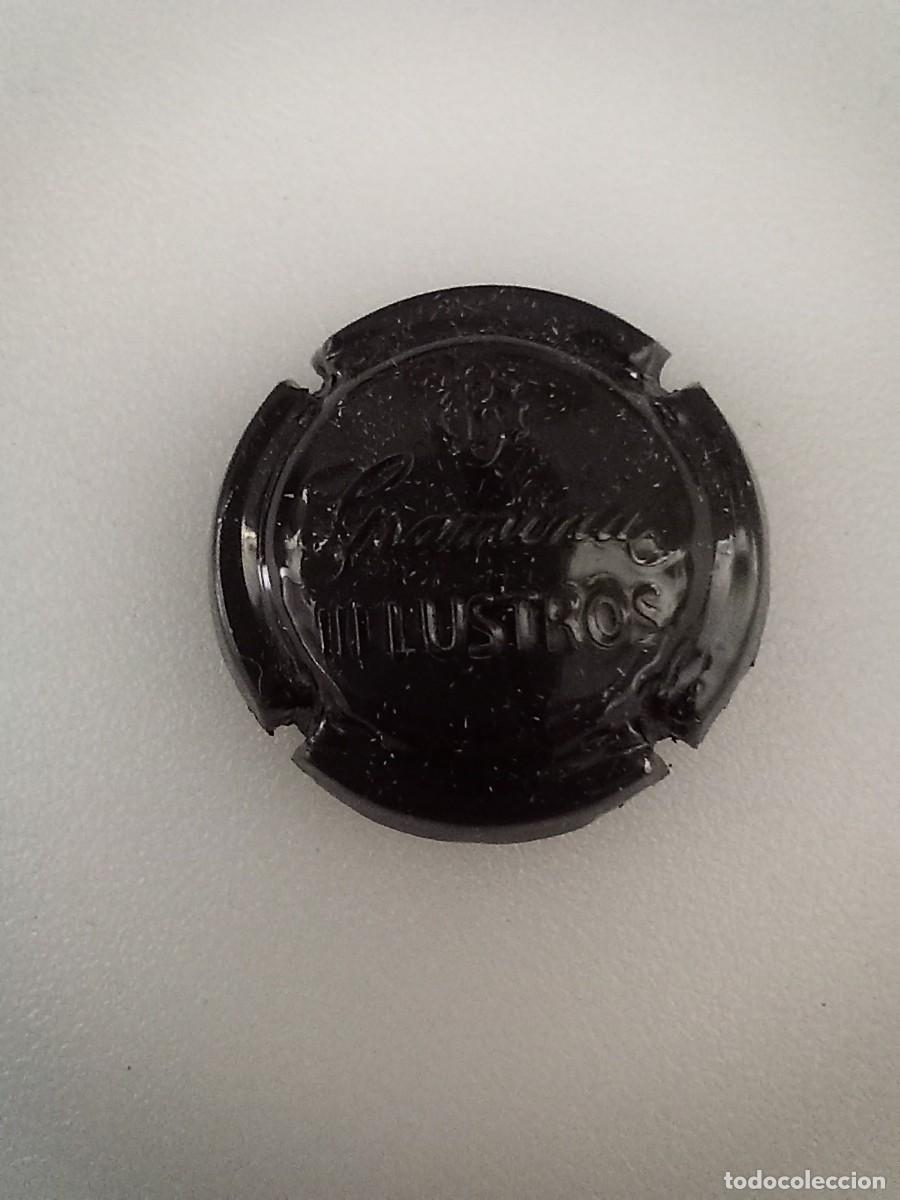 Coleccionismo de cava: Chapa placa tapon champan