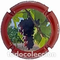 Coleccionismo de cava: PLACA DE CAVA - Fonpinet - X 258676