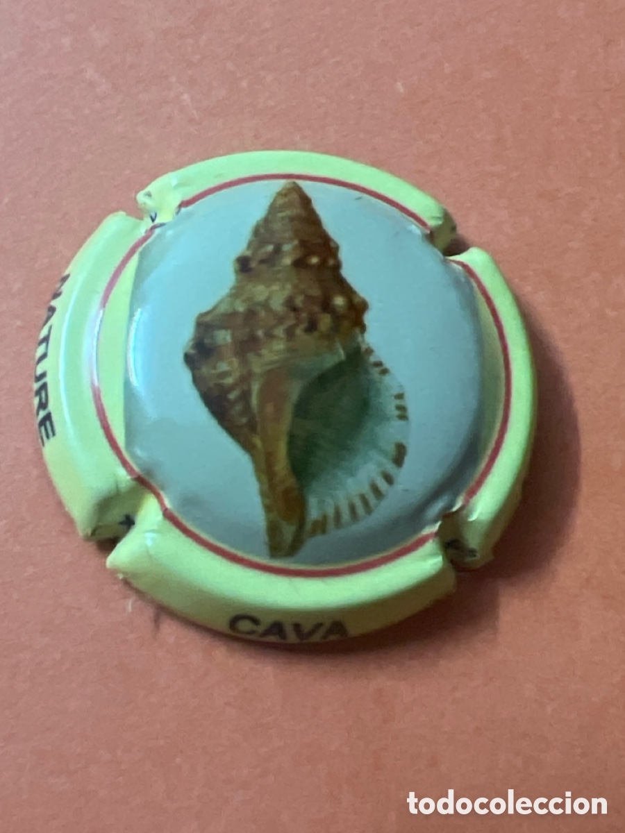Coleccionismo de cava: T4/X108/D1. PLACA DE CAVA - MERVILLA