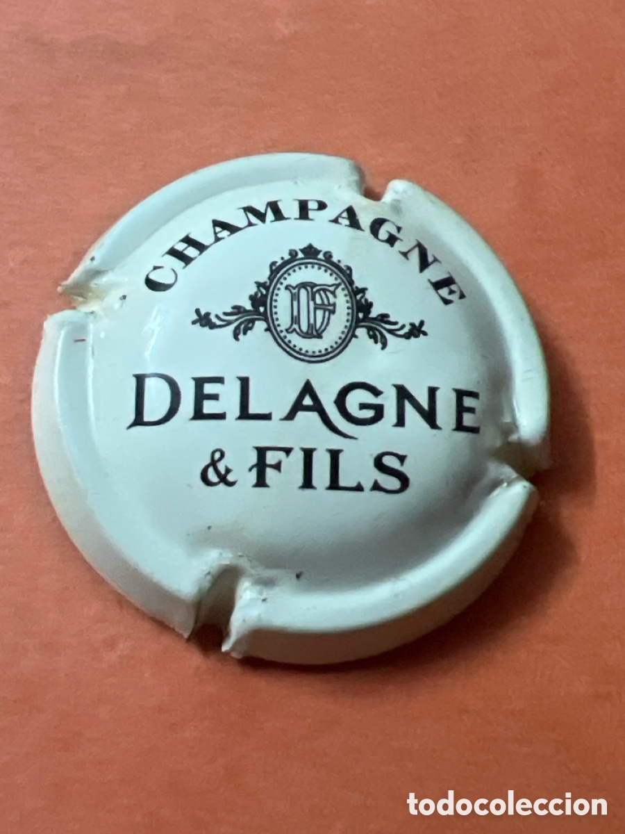 Coleccionismo de cava: T4/X109/J2. PLACA DE CHAMPAGNE - DELAGNE & FILS