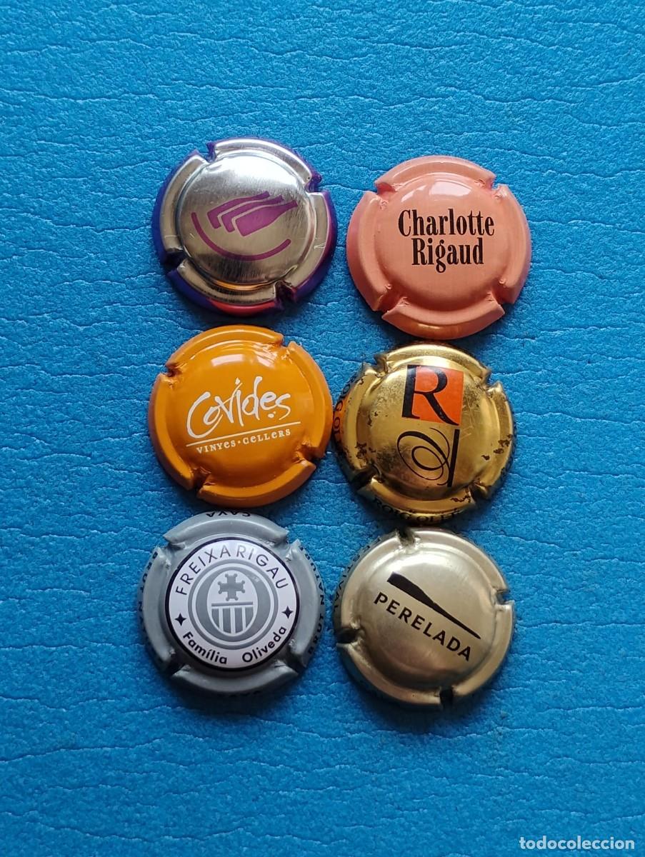 Coleccionismo de cava: LOTE DE 6 PLACAS DE CAVA
