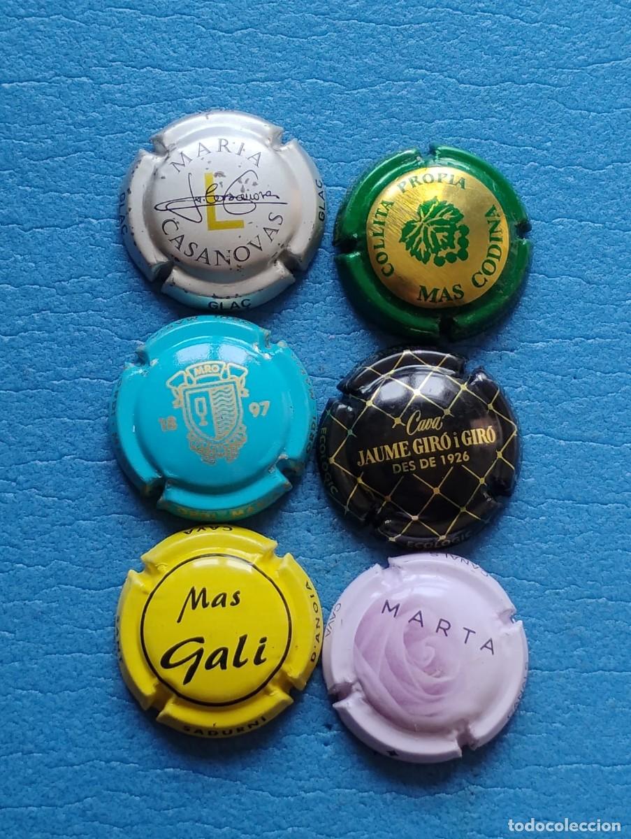 Coleccionismo de cava: LOTE DE 6 PLACAS DE CAVA