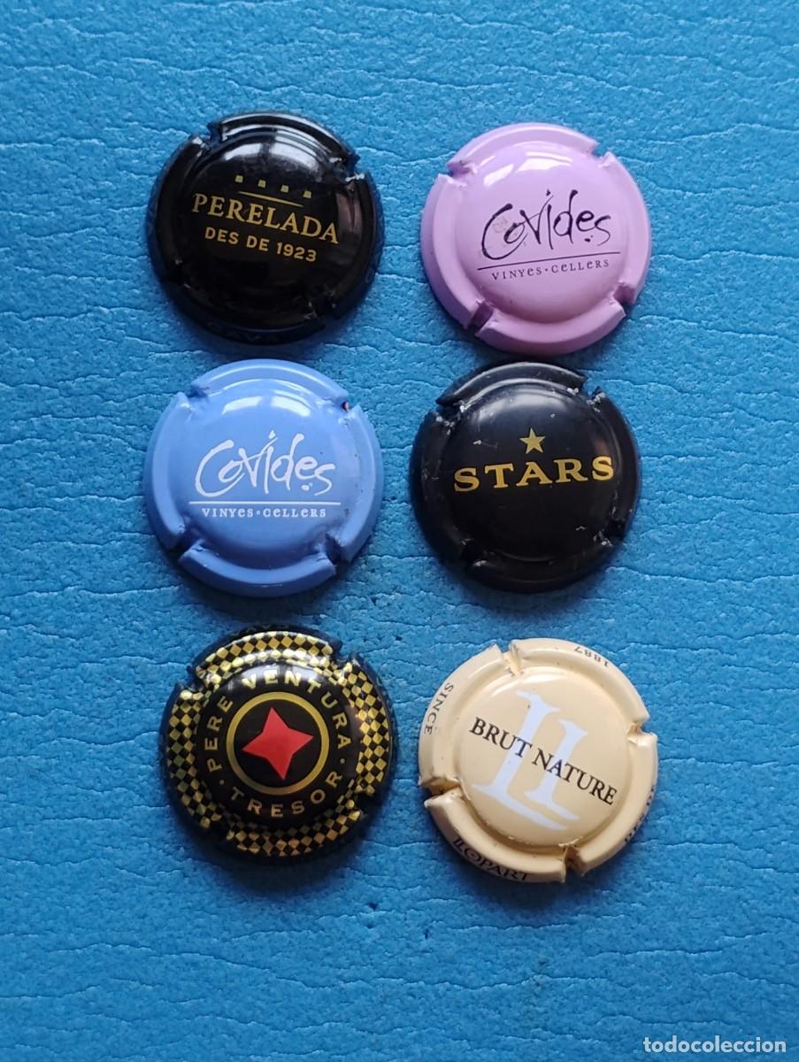 Coleccionismo de cava: LOTE DE 6 PLACAS DE CAVA