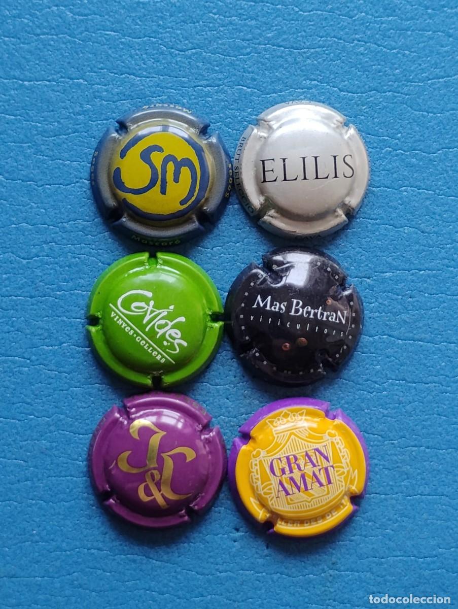 Coleccionismo de cava: LOTE DE 6 PLACAS DE CAVA