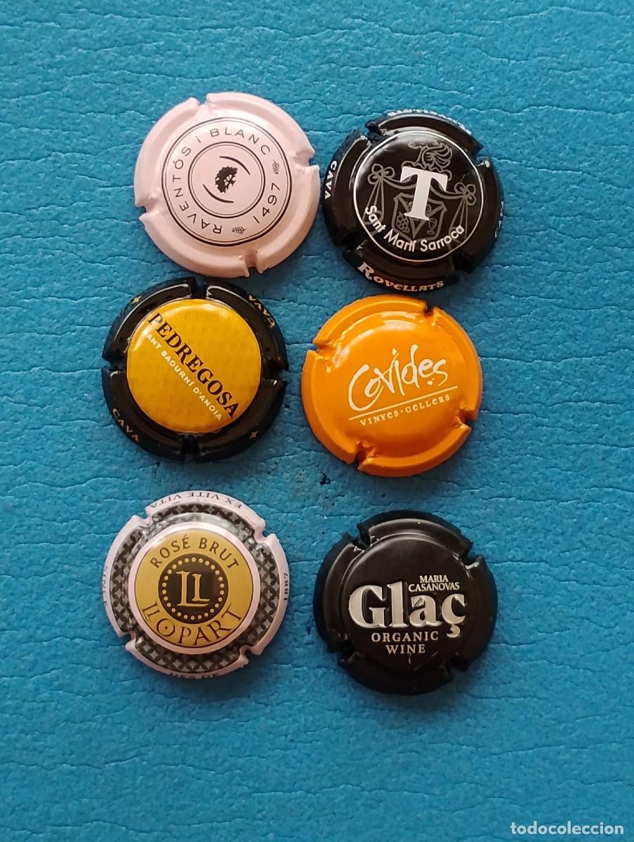 Coleccionismo de cava: LOTE DE 6 PLACAS DE CAVA