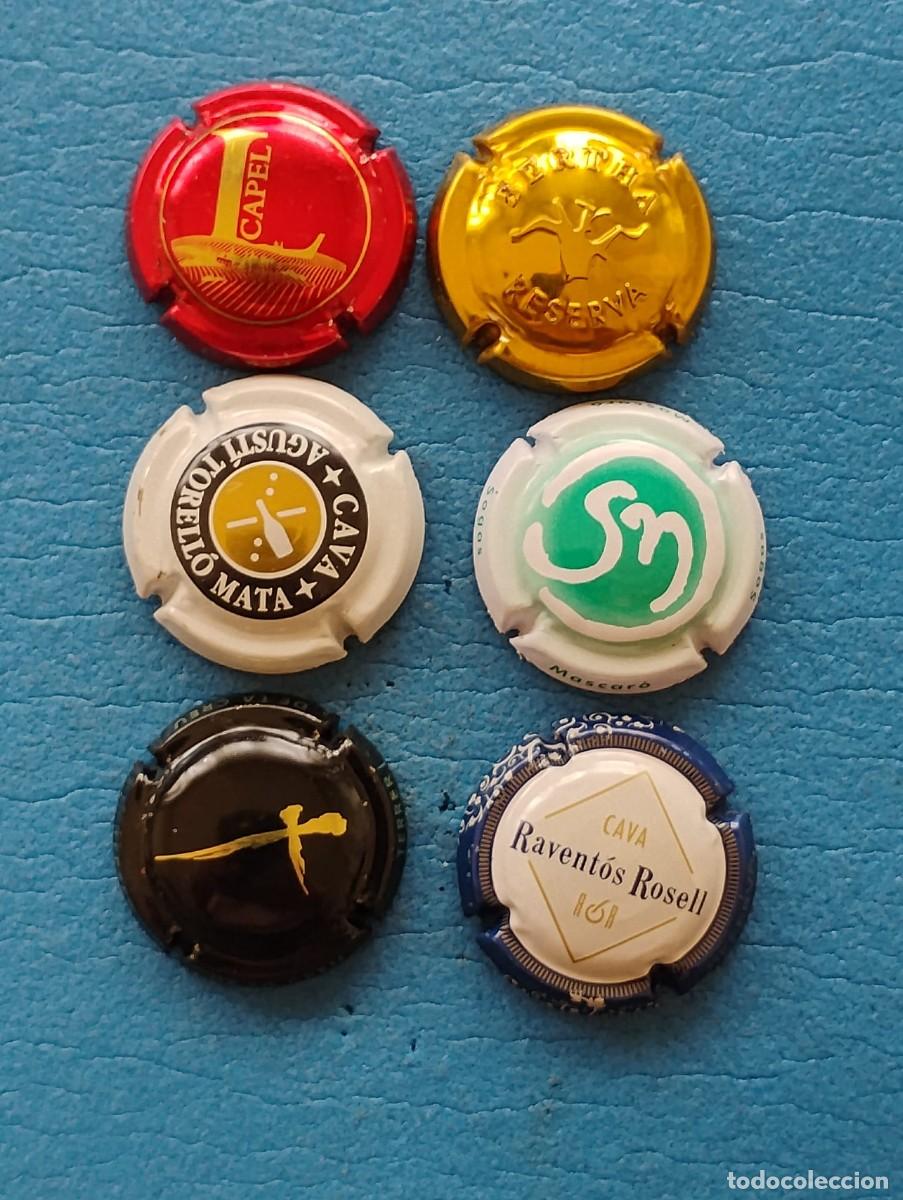 Coleccionismo de cava: LOTE DE 6 PLACAS DE CAVA