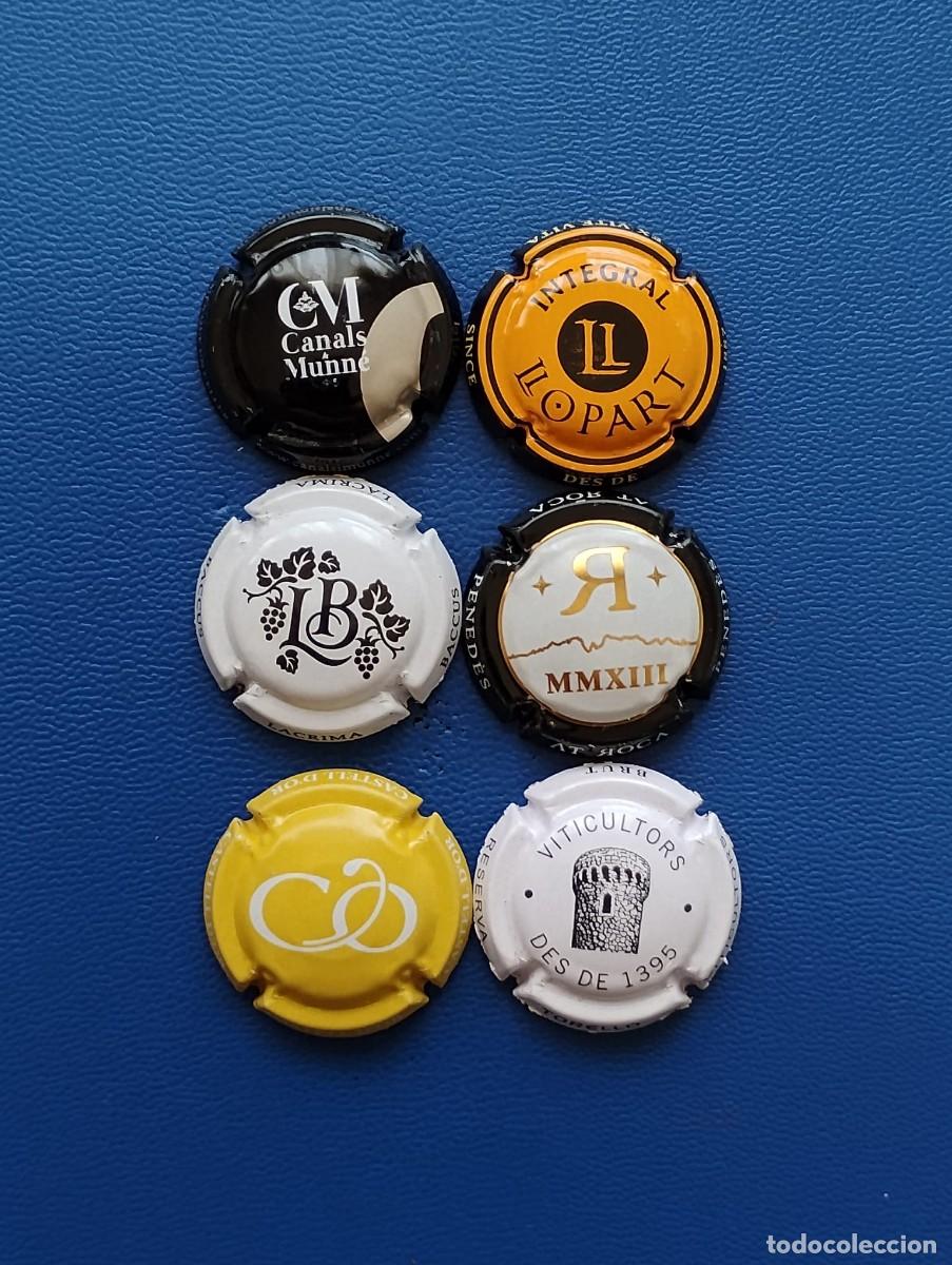 Coleccionismo de cava: LOTE DE 6 PLACAS DE CAVA