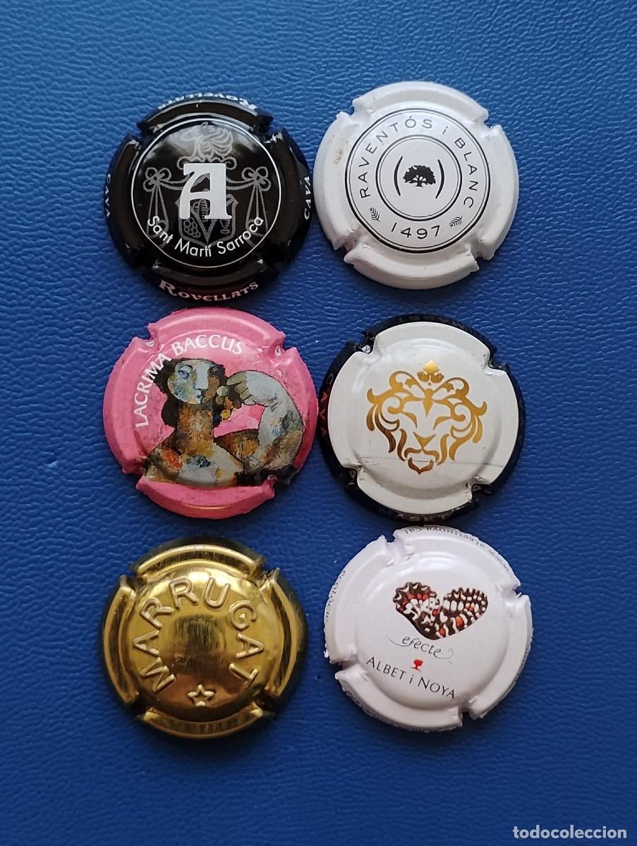 Coleccionismo de cava: LOTE DE 6 PLACAS DE CAVA