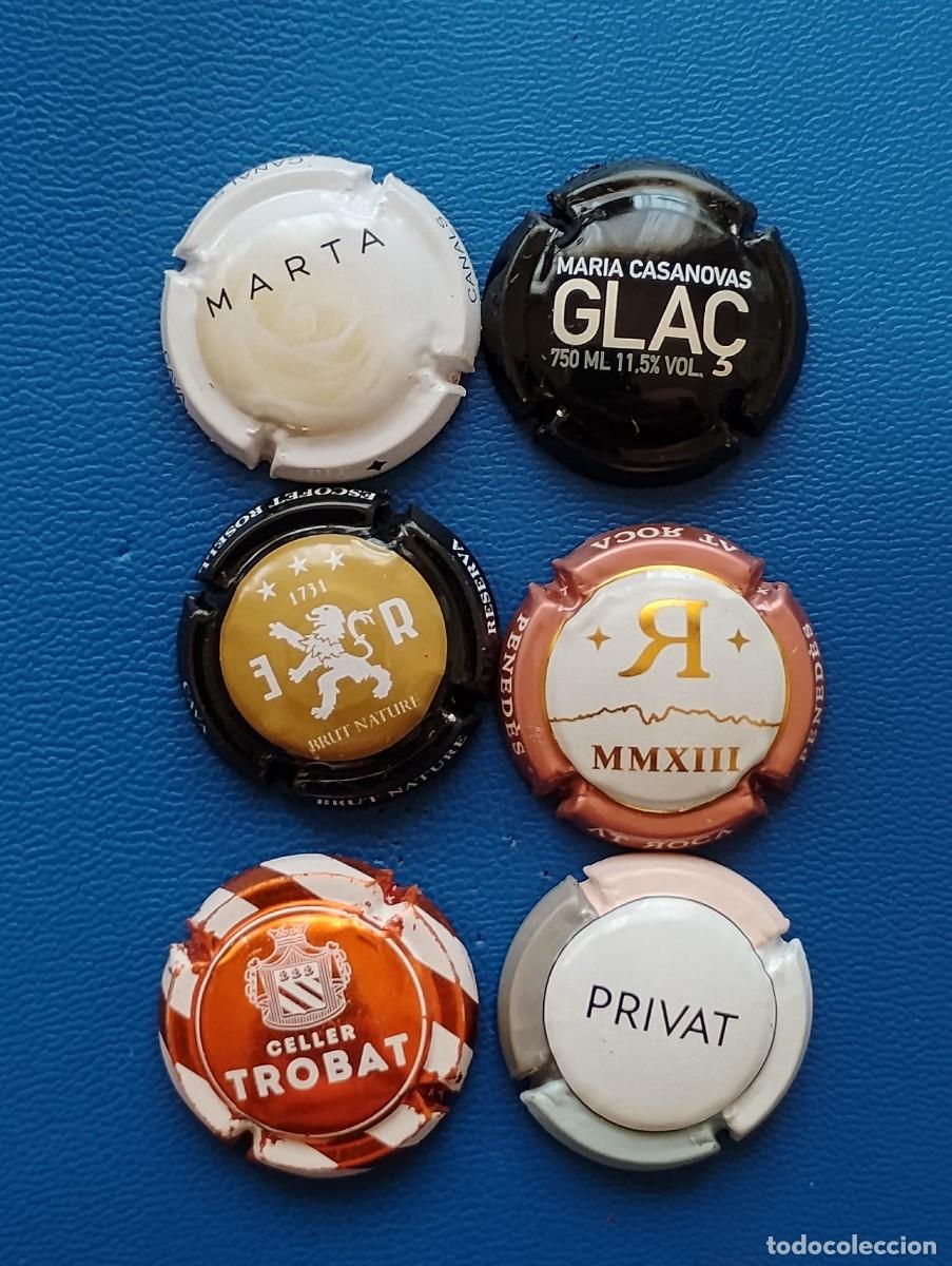Coleccionismo de cava: LOTE DE 6 PLACAS DE CAVA
