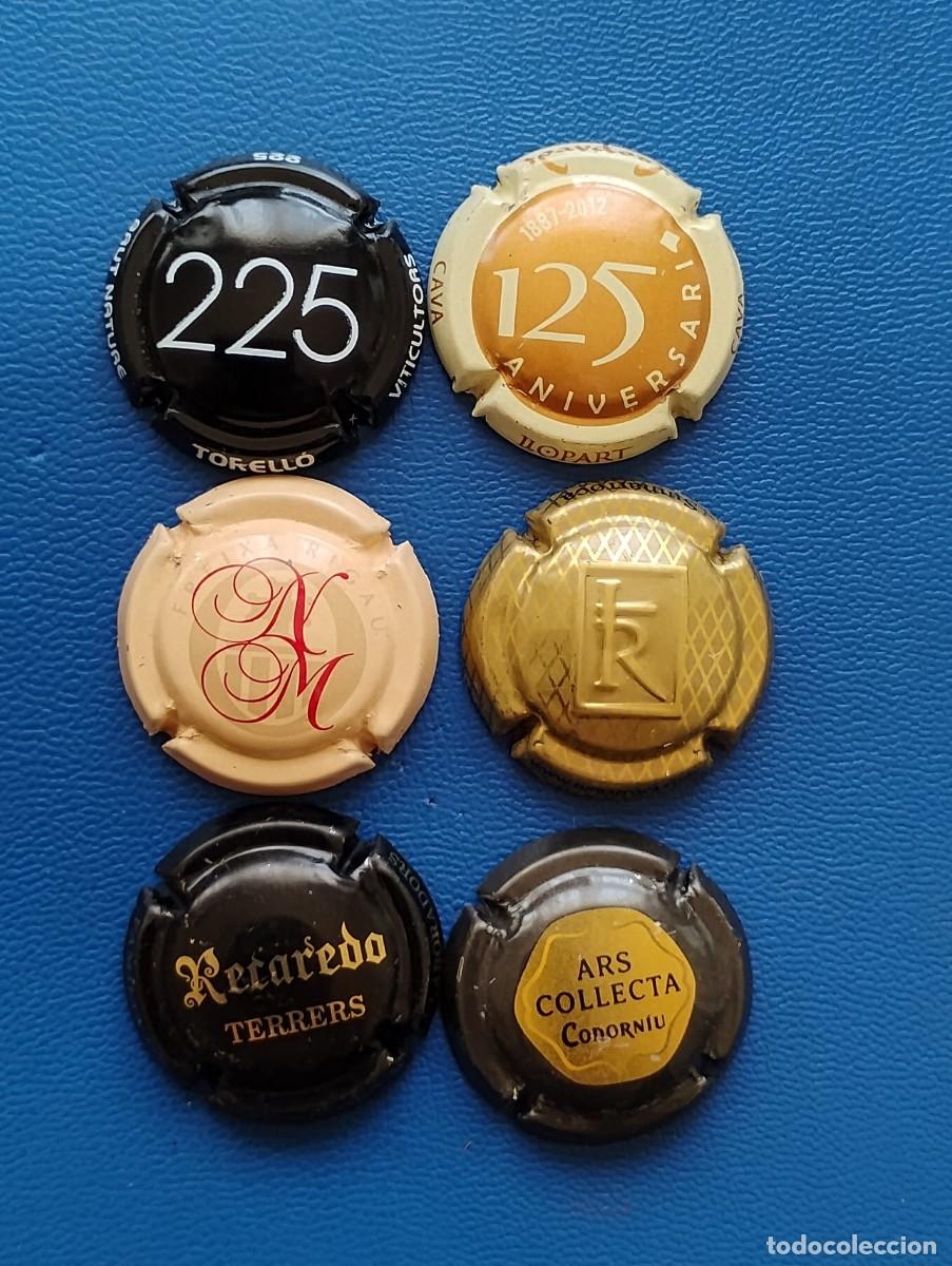 Coleccionismo de cava: LOTE DE 6 PLACAS DE CAVA