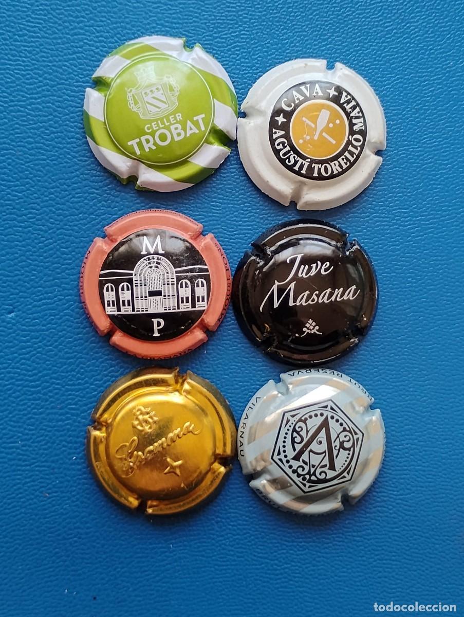 Coleccionismo de cava: LOTE DE 6 PLACAS DE CAVA