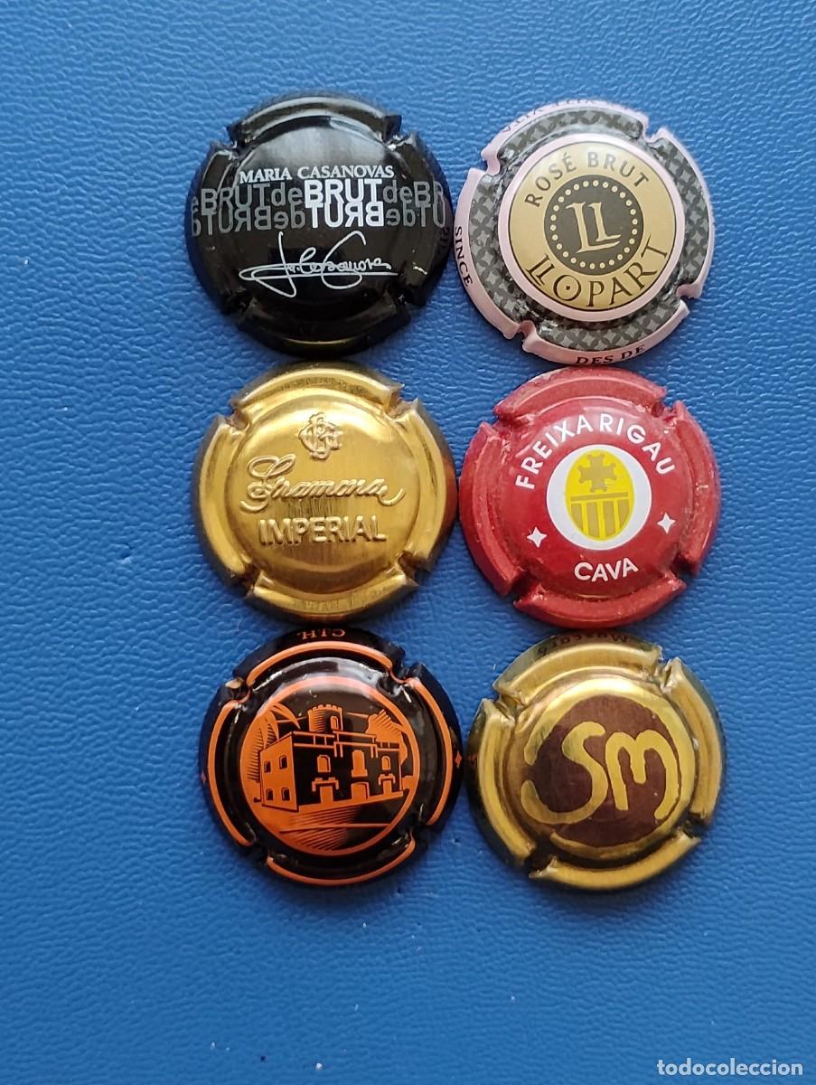 Coleccionismo de cava: LOTE DE 6 PLACAS DE CAVA