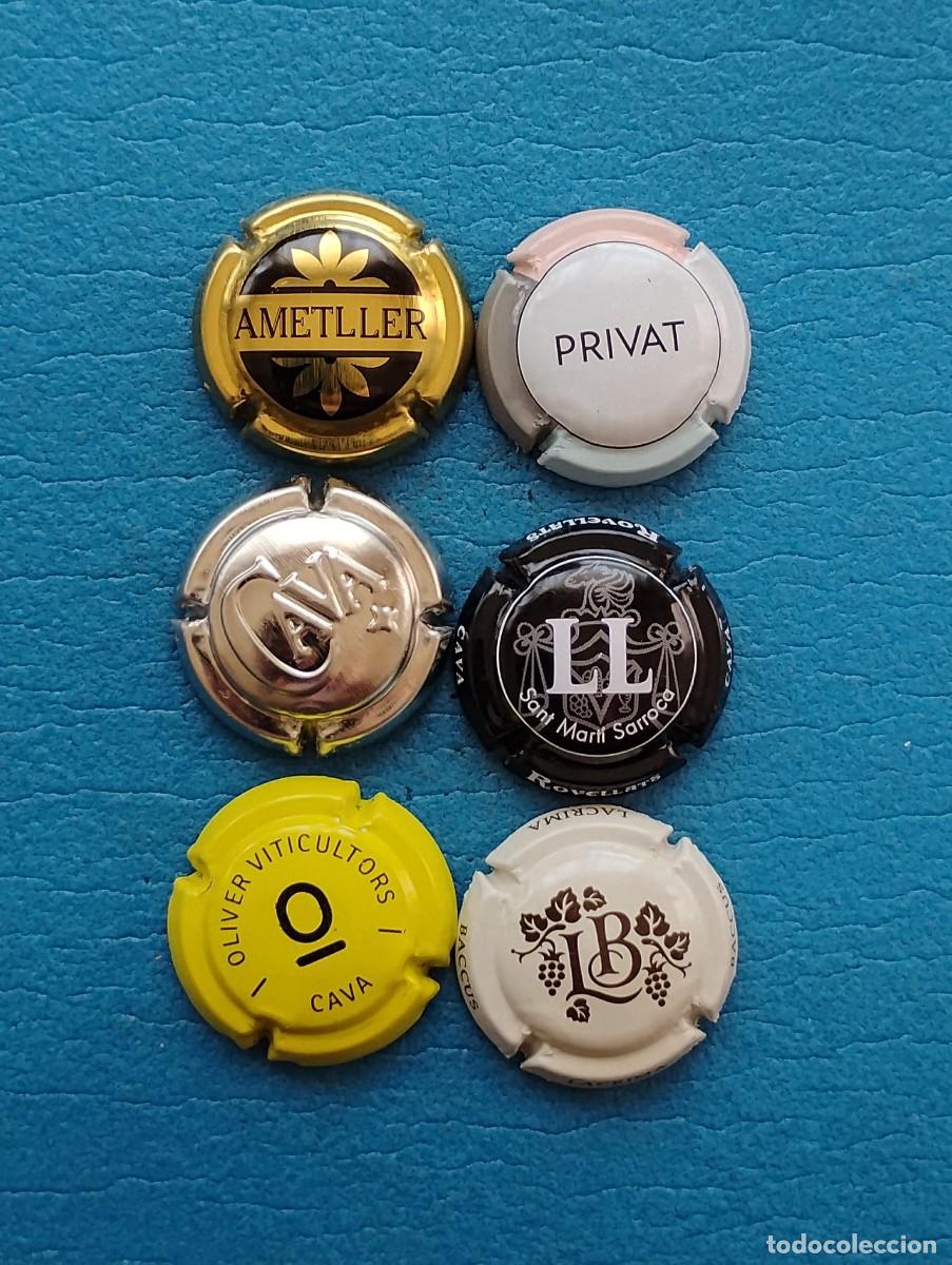 Coleccionismo de cava: LOTE DE 6 PLACAS DE CAVA