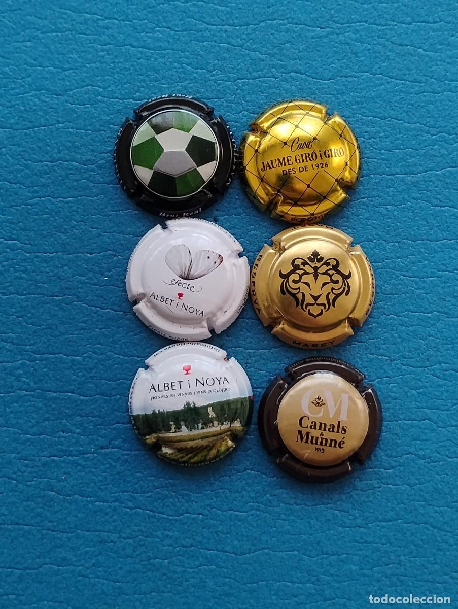 Coleccionismo de cava: LOTE DE 6 PLACAS DE CAVA