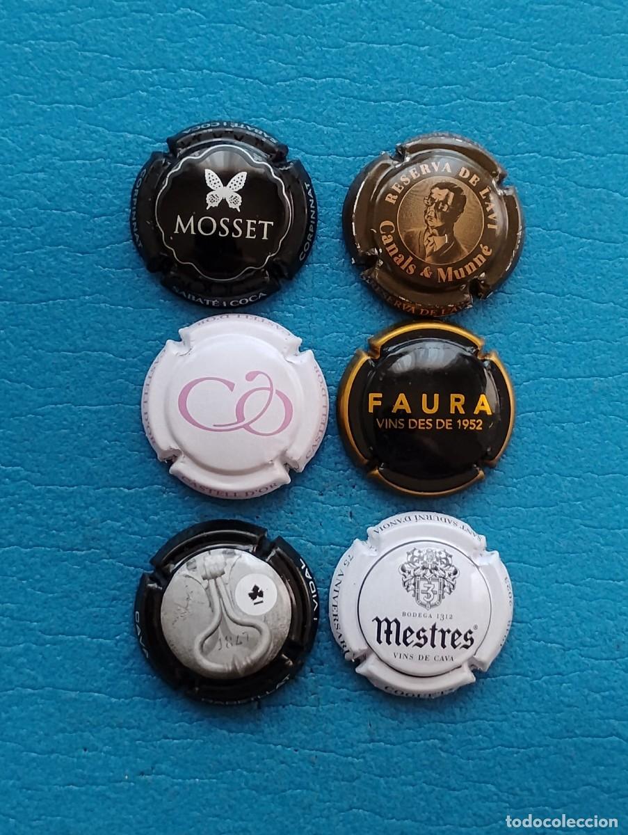 Coleccionismo de cava: LOTE DE 6 PLACAS DE CAVA