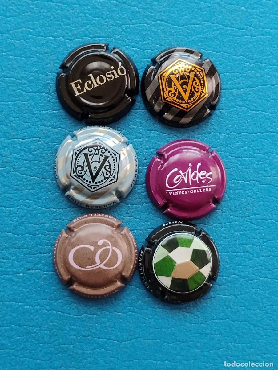 Coleccionismo de cava: LOTE DE 6 PLACAS DE CAVA